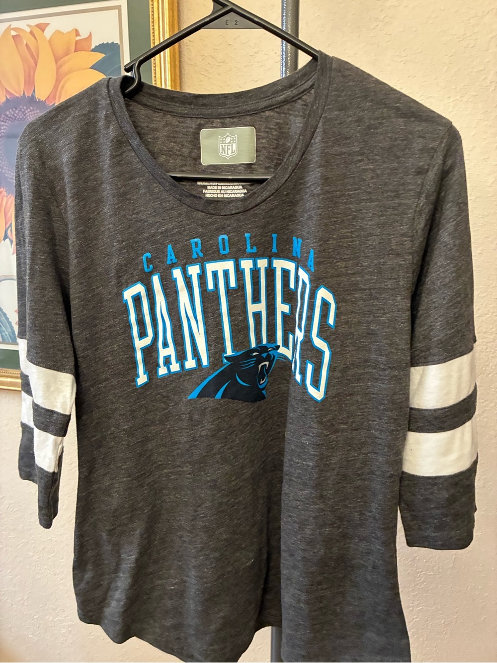 Carolina Panthers Gray Tee with Team Logo